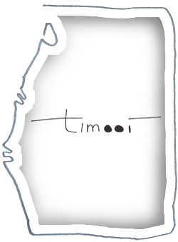 timooi logo inside frame